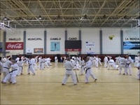 La Nucia Pab karate encuentro 2015
