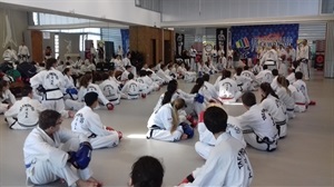 Más de 90 personas participaron en este Seminario de Taekwondo