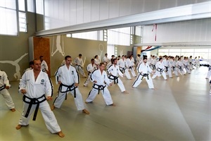 El congreso de taekwondo se desarrollará en el Pabellón y Ciutat Esportiva