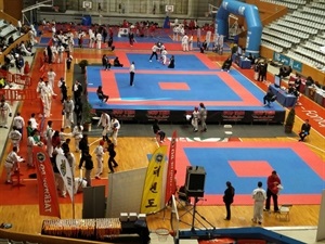 La Copa de España de Taekwondo ITF se desarrolló en el Pabellón de Fontajau de Girona