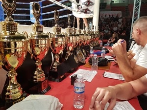 Los jueces durante la 33 Mix Fight Events, el pasado sábado en el Pabellón de La Nucía