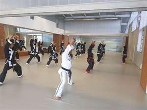 Este curso de alto rendimiento para cinturones negros se desarrolló en la Sala Tatami del Pabellón