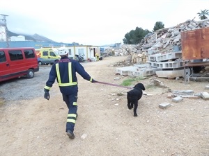 Fue una actividad del Curso Internacional de Unidades Caninas de Rescate que se está desarrollando en La Nucía esta semana