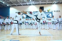 20240902101055La Nucia Congreso ITF Taekwondo 1 2024