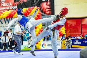 20241204113140La Nucia Nac Taekw 11 2024