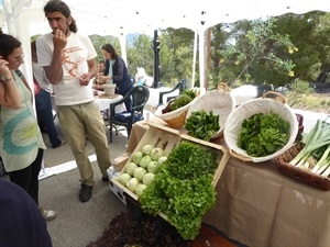 En el Mercat de la Terra de La Nucía se pueden adquirir verdura y fruta ecológica de la comarca
